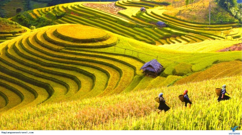 Hagiang_Halongtransportation
